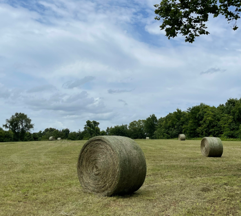 new game for exercise and skill....dodging hay bales